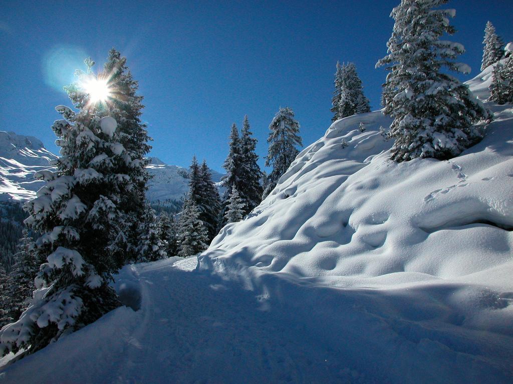 Hotel Alpina Vals Eksteriør bilde